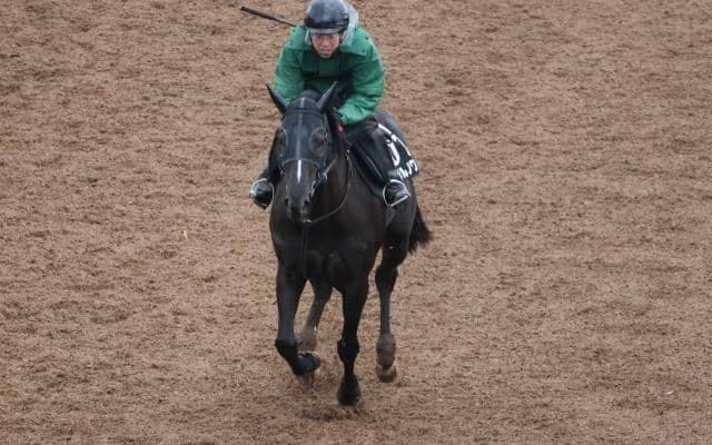 イーグルノワールなど、先週の入厩情報/栗東トレセンニュース