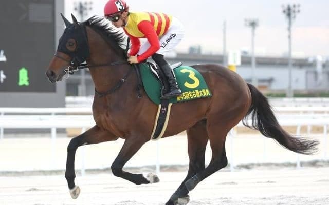 【アンタレスS予想オッズ】ハギノアレグリアスが予想1番人気