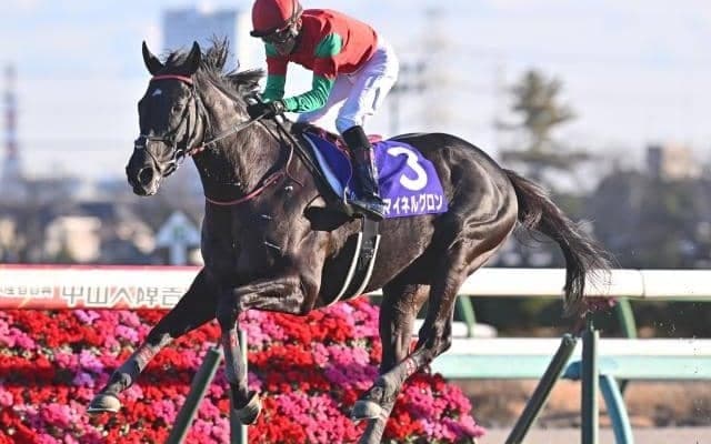 【中山GJ予想オッズ】マイネルグロンが予想1番人気