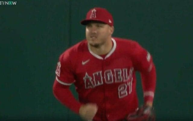 大谷翔平が抜けても戦い続ける…！ “兄貴”トラウト、フェンス激突のプレーがヤバすぎると話題に　体を張った“ジャンピングキャッチ”にファン騒然 「カッコ良すぎる」「トラ兄さすが」