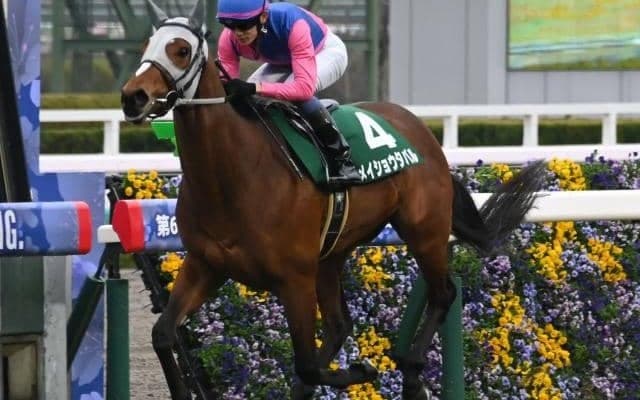 【皐月賞展望】より短い距離の実績がある前走好走馬が買い