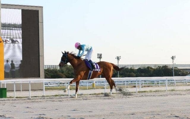 【名古屋・東海桜花賞】10歳馬アナザートゥルースが早目先頭から押し切る…服部「強気で進めました」
