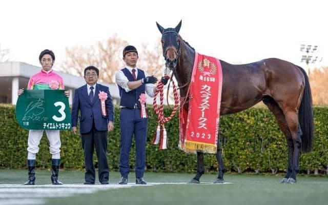 【東京スプリント注目馬】実力拮抗の好メンバー集結 テイエムトッキュウ重賞連勝なるか