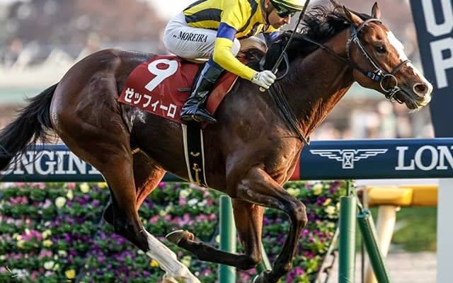 ゼッフィーロに右前浅屈腱炎が判明 9カ月以上の休養見込み