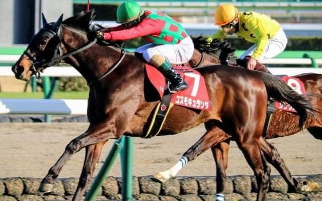 史上初の父仔3代皐月賞制覇へ コスモキュランダがモレイラ騎手とチャレンジ