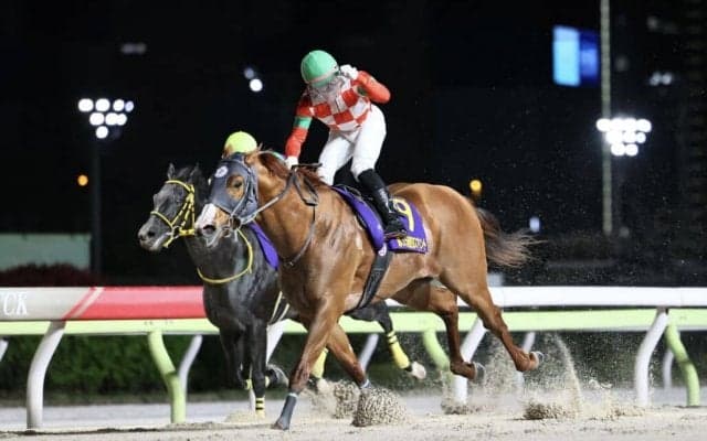 【東京スプリント】地元ジャスティンが2度目のV…西啓太騎手連日の重賞勝利