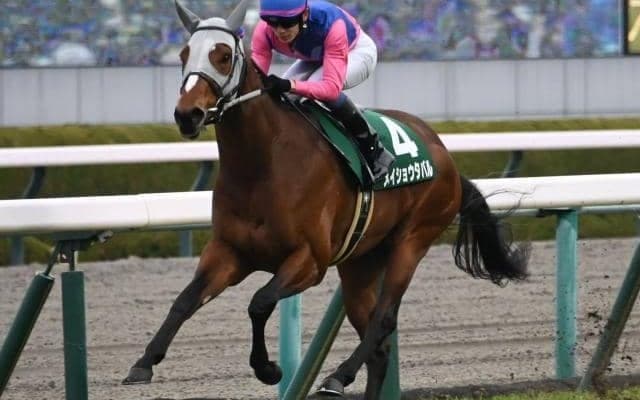 【皐月賞予想】AIの推奨馬は配当妙味も見込める1頭 前走パフォーマンスを評価