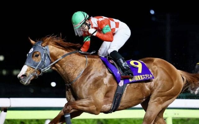 【東京スプリント】西啓太「がむしゃらに追うだけでした」地元ジャスティンが中央撃破