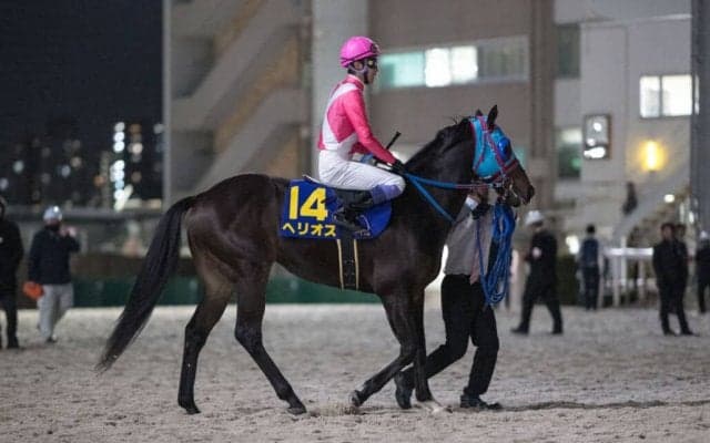 【東京スプリント】武豊「今は1200mがちょっと短いかも…」ヘリオスは4着敗退