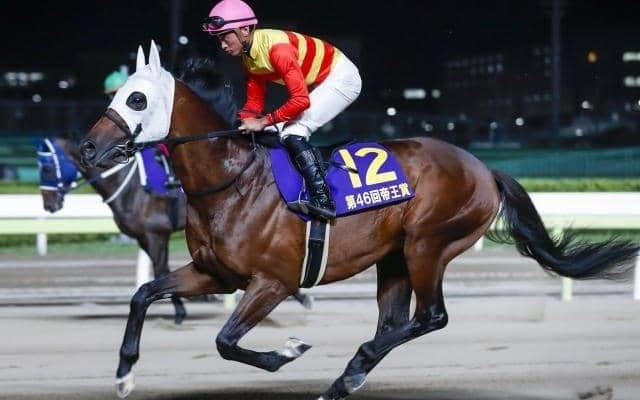 【アンタレスS展望】条件を全てクリアするハギノアレグリアスが中心