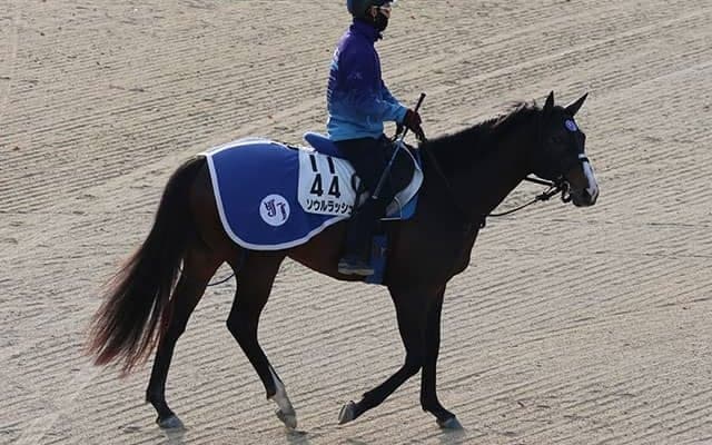 ソウルラッシュ、マイラーズC1週前追い切り速報/栗東トレセンニュース