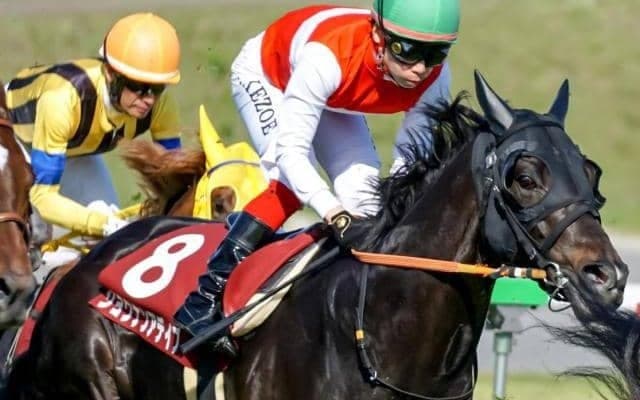 “5億円馬”が惜敗続きにピリオド打つか 舞台替わりで今度こそ