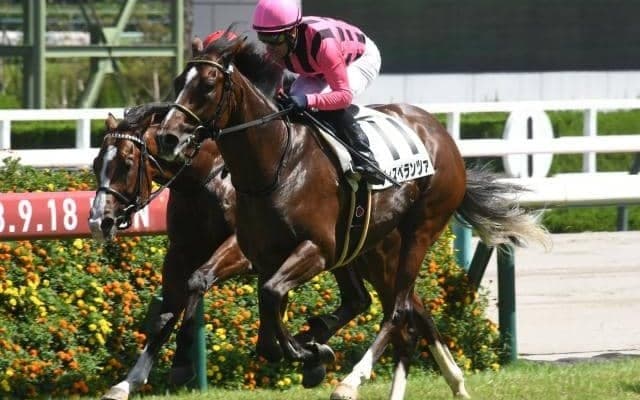 【アーリントンC出走馬・騎手確定】ディスペランツァ＆J.モレイラ騎手、ジュンヴァンケット＆岩田望来騎手など16頭