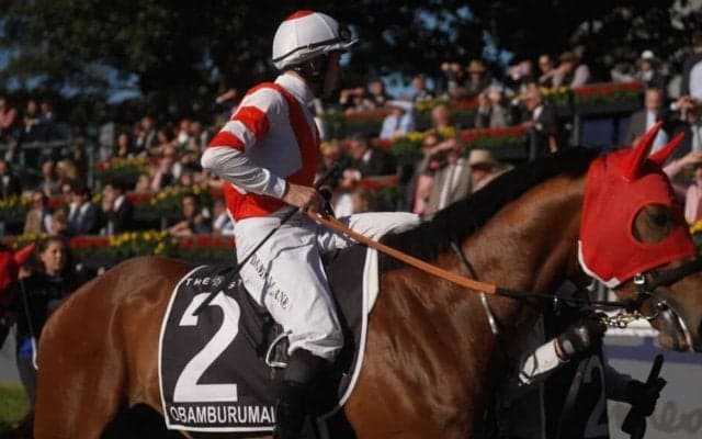 香港チャンピオンズデー出走予定の日本馬が発表…オオバンブルマイ、プログノーシスなど