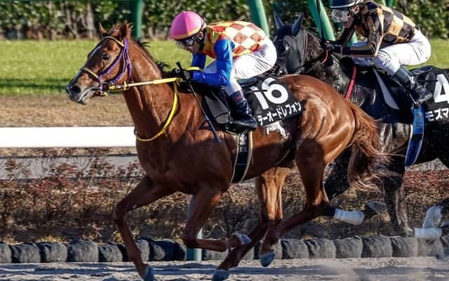 半兄はGI/JpnI・9勝の砂王エスポワールシチー アンタレスSで兄弟重賞Vなるか