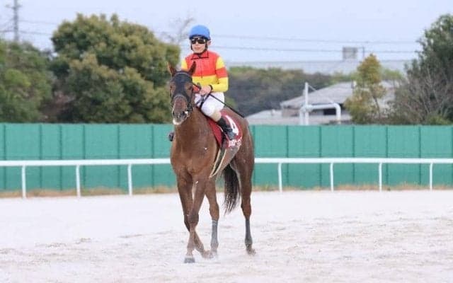 【東海クイーンカップ】ニジイロハーピーが重賞2勝目…大畑「4角では勝ち負けできると思った」