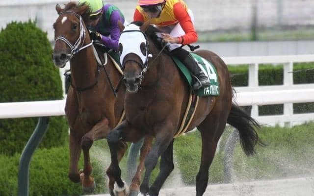 【アンタレスS枠順確定】ハギノアレグリアスは1枠1番、ヴィクティファルスは2枠3番