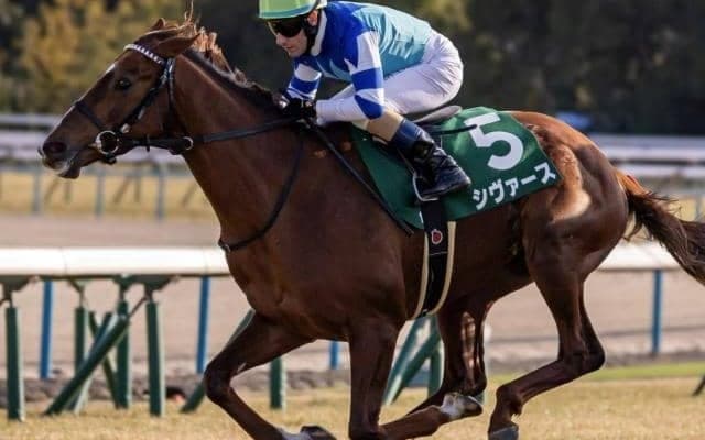 【アーリントンC枠順確定】シヴァースは3枠5番、ディスペランツァは2枠3番