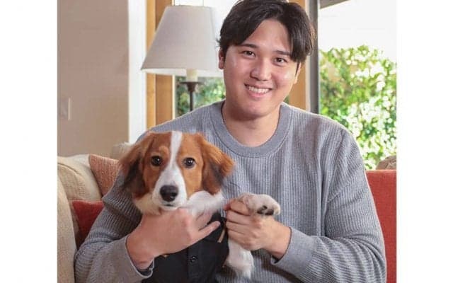 大谷翔平と一緒に“毎日登場”　本拠地でデコピンがチラリ「すっかり有名」