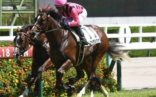 【アーリントンC予想】前走重賞組が強さ見せる一戦 1勝クラス出走馬に求められる好走条件は？