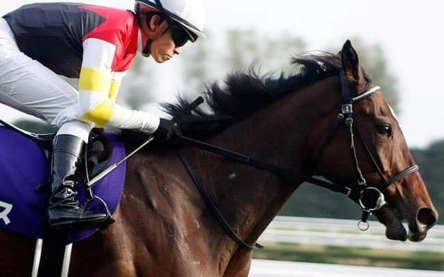 14年エリザベス女王杯覇者の仔 土曜阪神5Rで待望デビュー