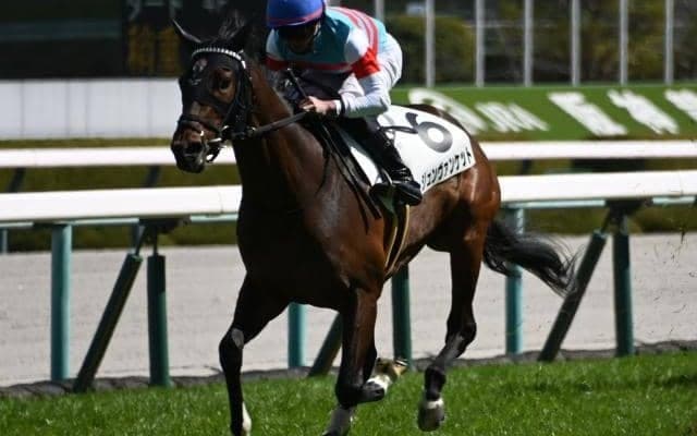 アーリントンCで3きょうだい重賞Vへ GI馬ピクシーナイトの半弟が挑む