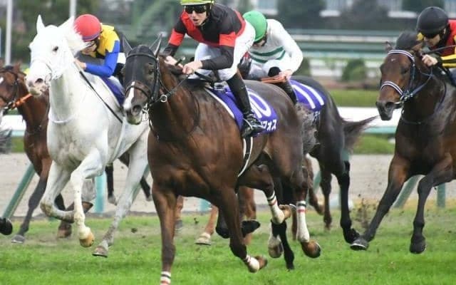 【マイラーズC想定馬・騎手】セリフォス、ソウルラッシュなど16頭
