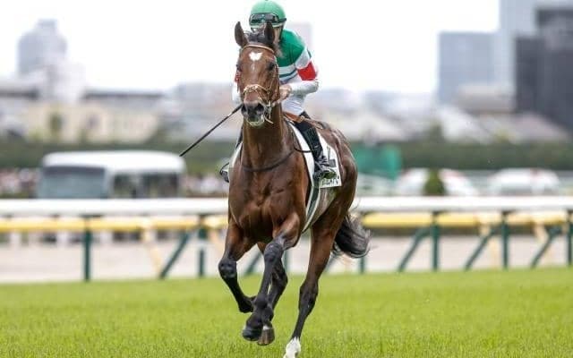 【天皇賞(春)想定馬・騎手】タスティエーラ、テーオーロイヤルなど21頭