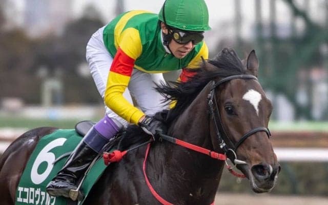 【武豊日記】全力を尽くします