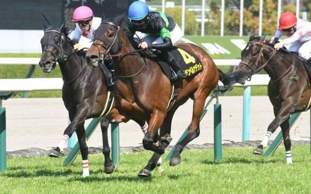 【福島牝馬S想定馬・騎手】グランベルナデット、コスタボニータなど15頭