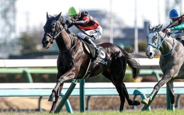 【フローラS想定馬・騎手】クリスマスパレード、バロネッサなど15頭