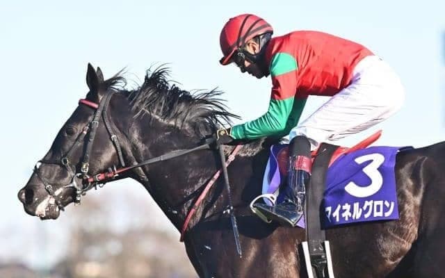 【今日の注目ポイント】中山GJと阪神でアーリントンC