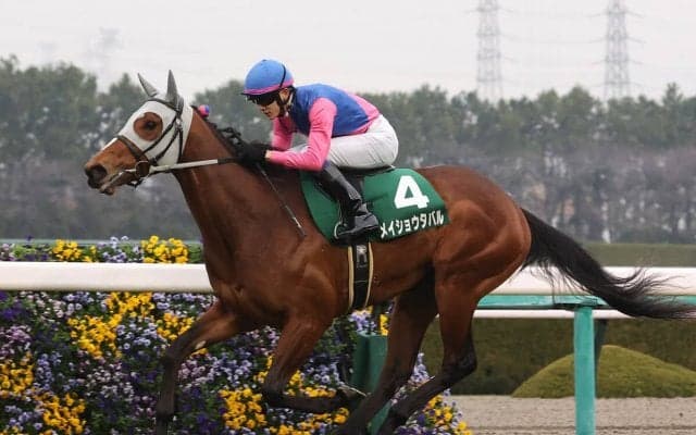 大混戦の皐月賞は前哨戦の傾向からスローペースを想定　注意すべきは機動力ある逃げ馬