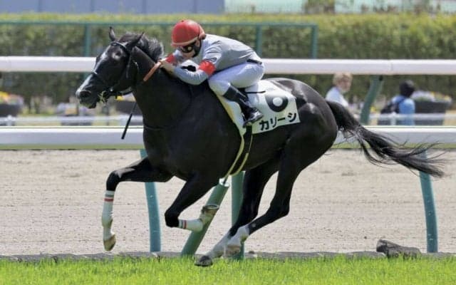 【福島5R】小林美駒騎手が今年6勝目…断然人気カリーシでV