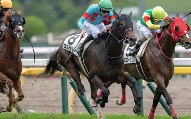 半兄はGIの常連ダノンベルーガ コスタレイが連勝なるか