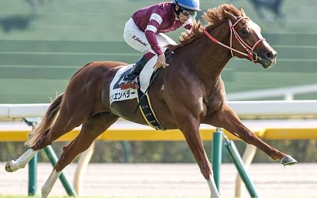 今年は「オレンジデー」4月14日の皐月賞 過去の7枠の勝率を調べてみた