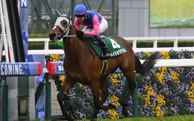 中山芝は内＆前ベター 皐月賞はメイショウタバルの押し切りだ