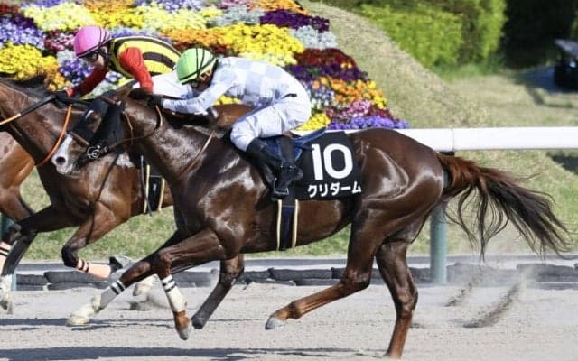 【ラジオ福島賞】クリダームが直線鮮やかな差し切りV