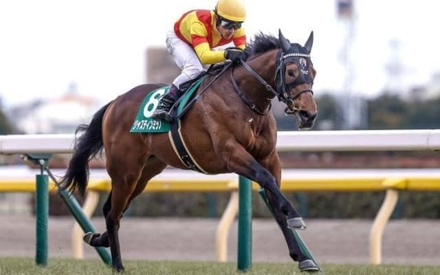 【皐月賞予想】10年で7回馬券圏内の幸運馬番は？ 過去データで探る「皐月賞」