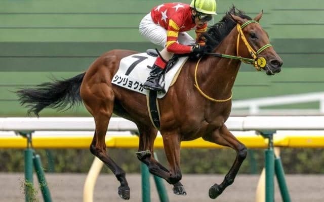 【福島牝馬S】シンリョクカ、コスタボニータらが登録