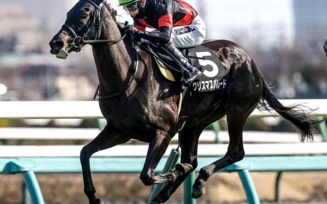 オークスTRのフローラSなど3重賞/今週の競馬界の見どころ