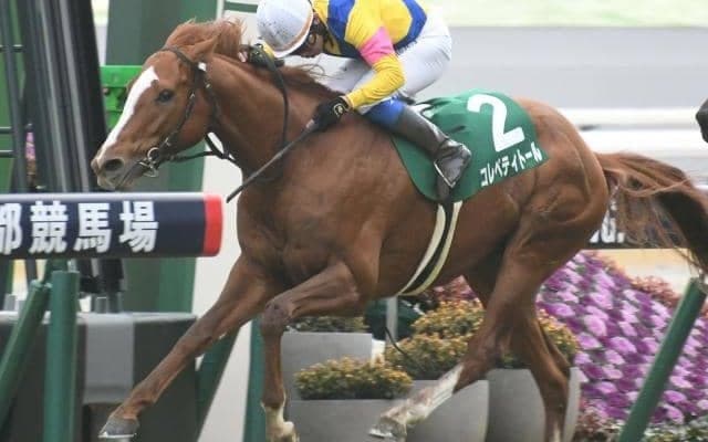 【マイラーズC見どころ】コレペティトールの勢いを支持