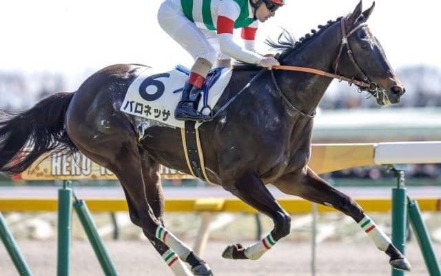 【フローラS見どころ】成長著しいバロネッサの連勝に期待