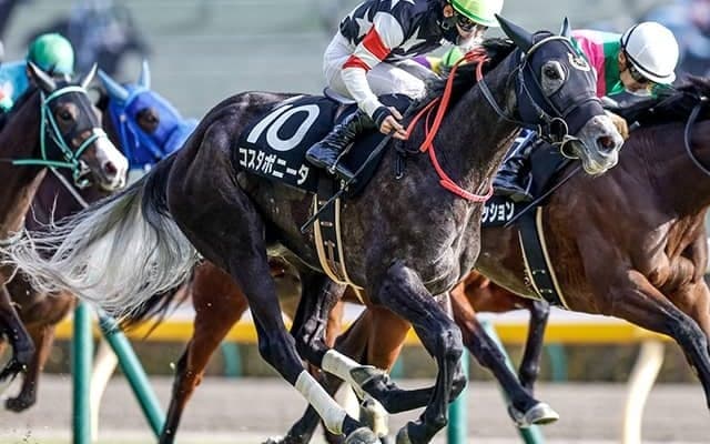 【福島牝馬S想定騎手】コスタボニータは岩田望来騎手、シンリョクカは木幡初也騎手