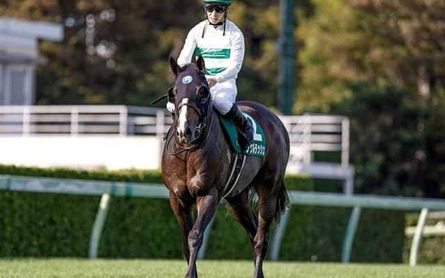 【マイラーズC想定騎手】ソウルラッシュは松山弘平騎手、セリフォスは川田将雅騎手