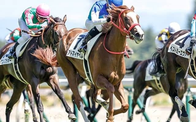 【フローラS想定騎手】アドマイヤベルは横山武史騎手、クリスマスパレードは石川裕紀人騎手