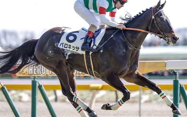 半兄は芝＆ダートの二刀流・ドゥラエレーデ 良血馬がフローラSで兄妹重賞V狙う