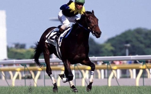 米の名種牡馬「トライマイベスト」 リバティアイランドやキングカメハメハといった名馬にも繋がる一頭