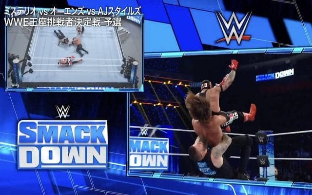 「眉山」や「牛殺し」をどう翻訳？ “プロレス界のディズニーランド”WWE実況の裏にある当意即妙の秘話【清野茂樹アナ連載#13】