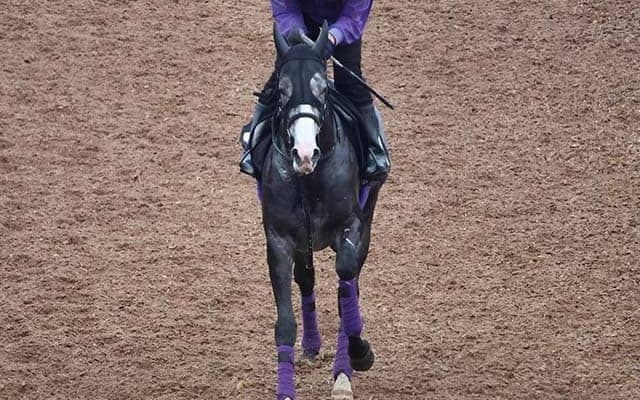 アドマイヤテラなど、先週の入厩情報/栗東トレセンニュース